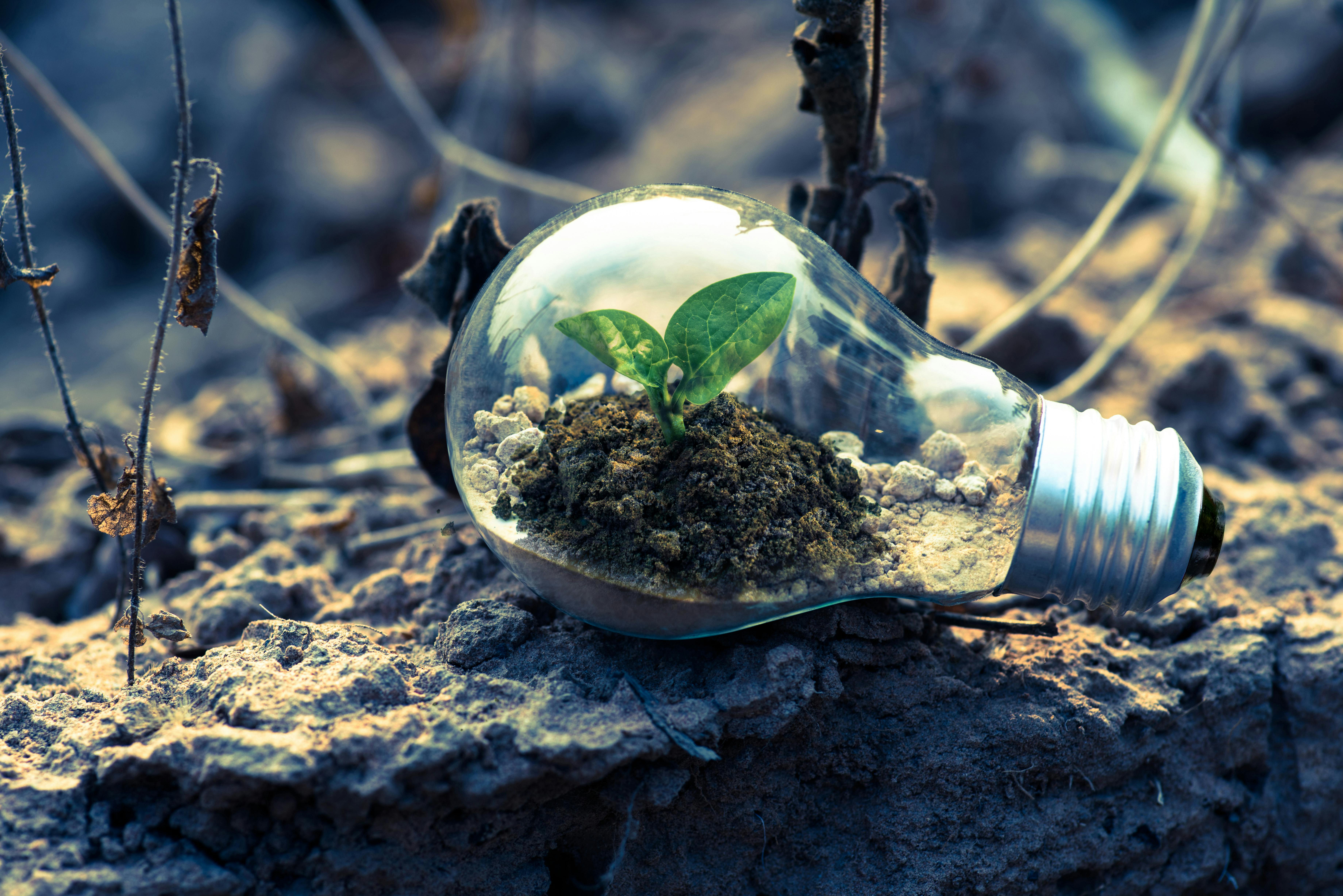 9 Simple Ways Small Businesses Can Make a Big Eco-Friendly Impact